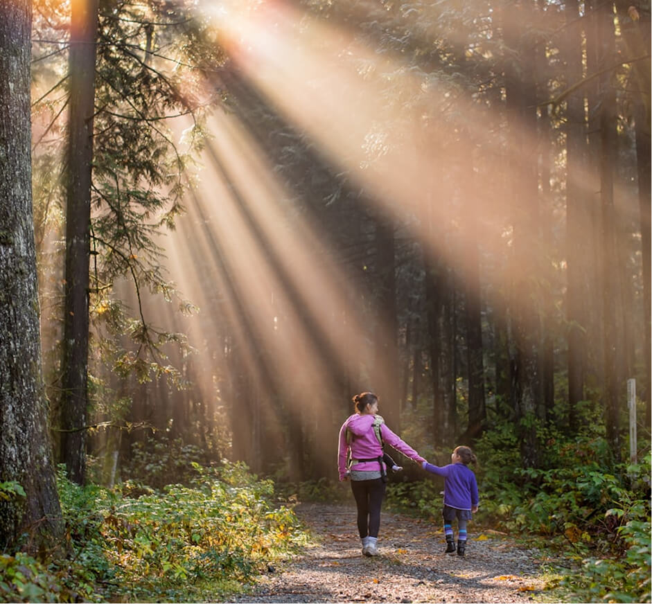 ecotourism supports immersing in nature